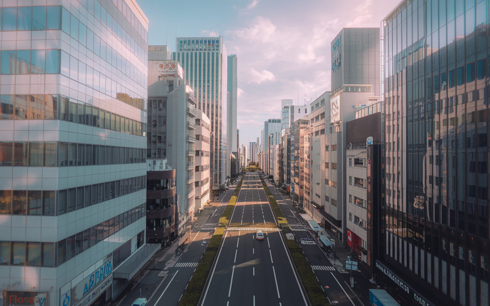 競売不動産の購入メリットと注意点を徹底解説！の画像