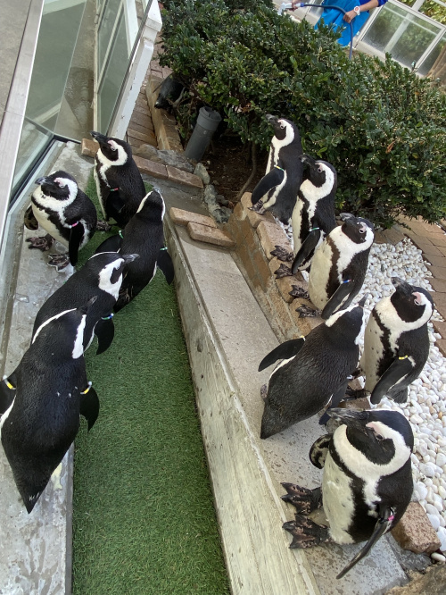 小学校校区の選び方!住宅購入成功の秘訣とは?の画像