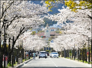 西宮市文教地区で理想の住環境を見つけよう！の画像