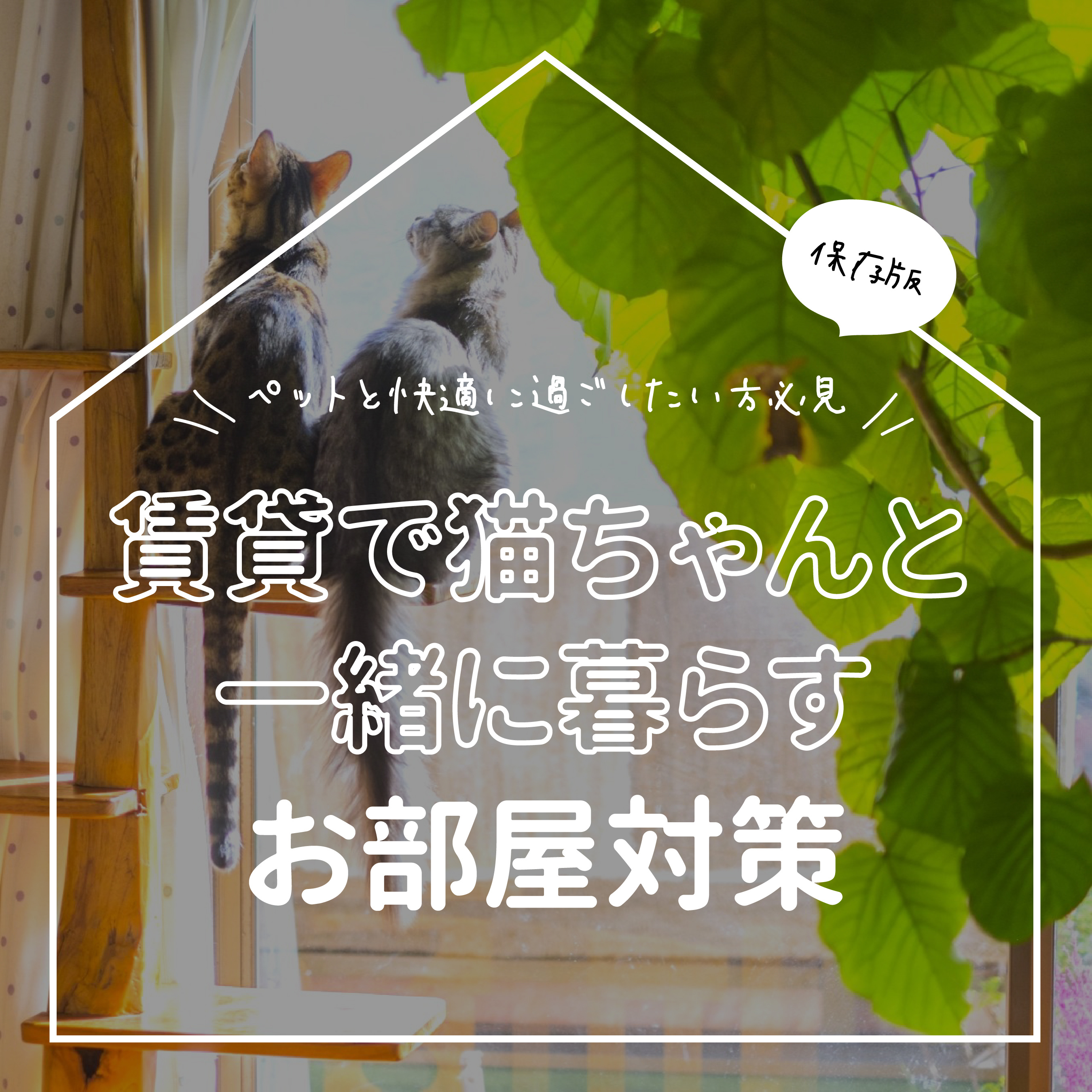 保存版ペットと快適に過ごしたい方必見賃貸で猫ちゃんと一緒に暮らすお部屋対策