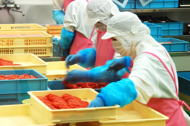 神戸市北区にある「めんたいパーク神戸三田」の概要！楽しみ方もご紹介