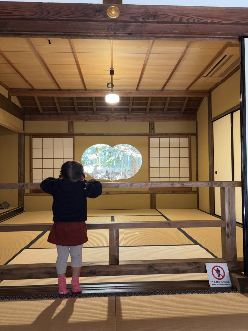 お散歩に行きました。の画像