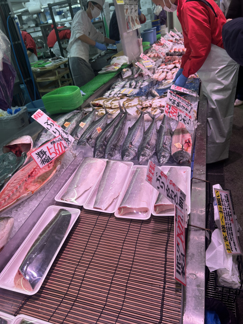 寒くはないですねの画像