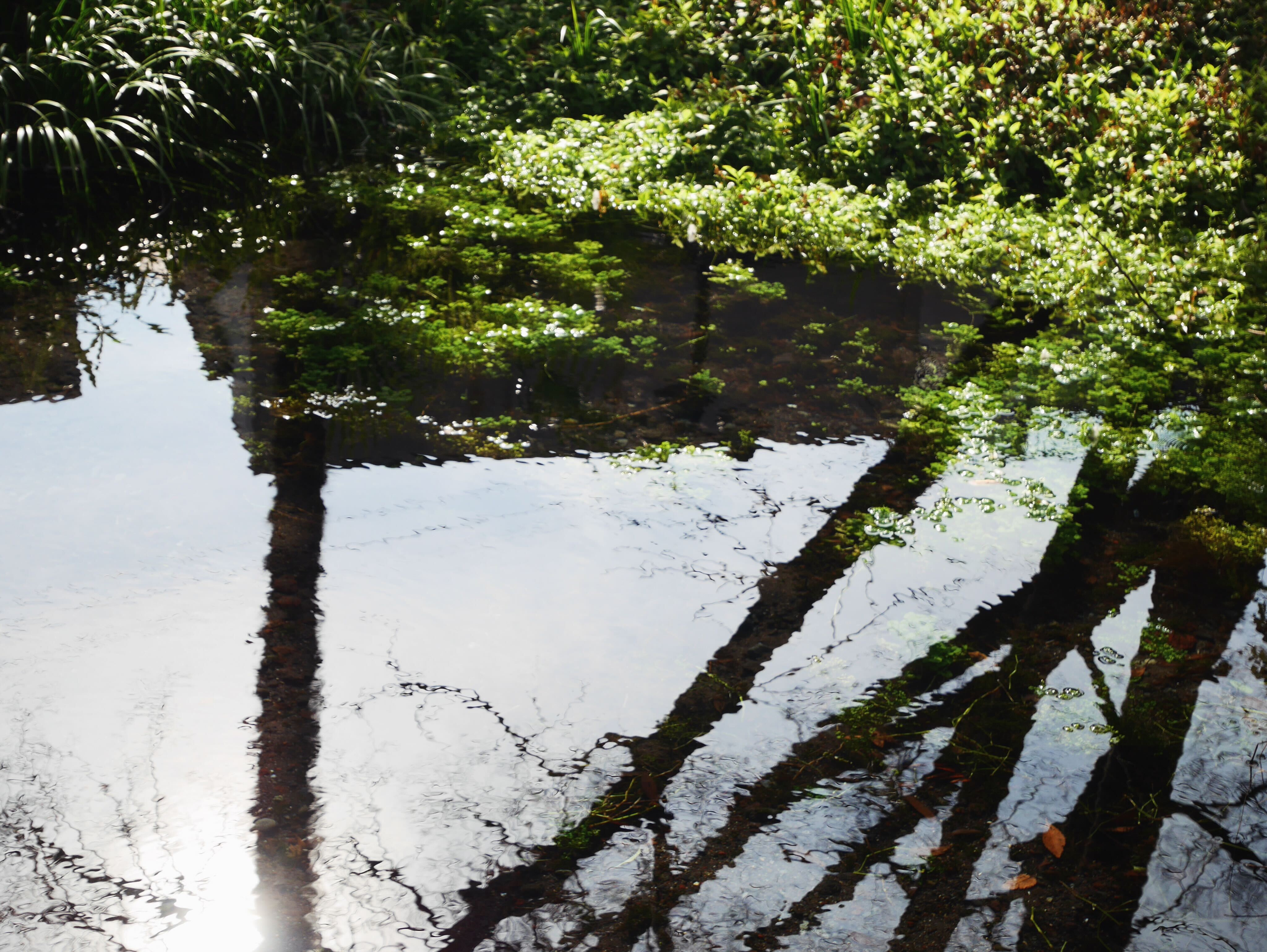久しぶりの日帰り旅行♪の画像