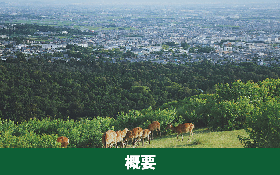 奈良市の概要と特徴