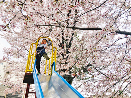 新生活☆の画像