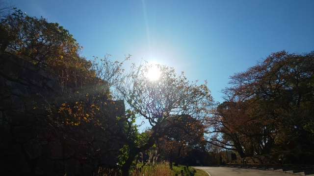 土地購入における日影規制とは？注意点と北側斜線制限を解説の画像