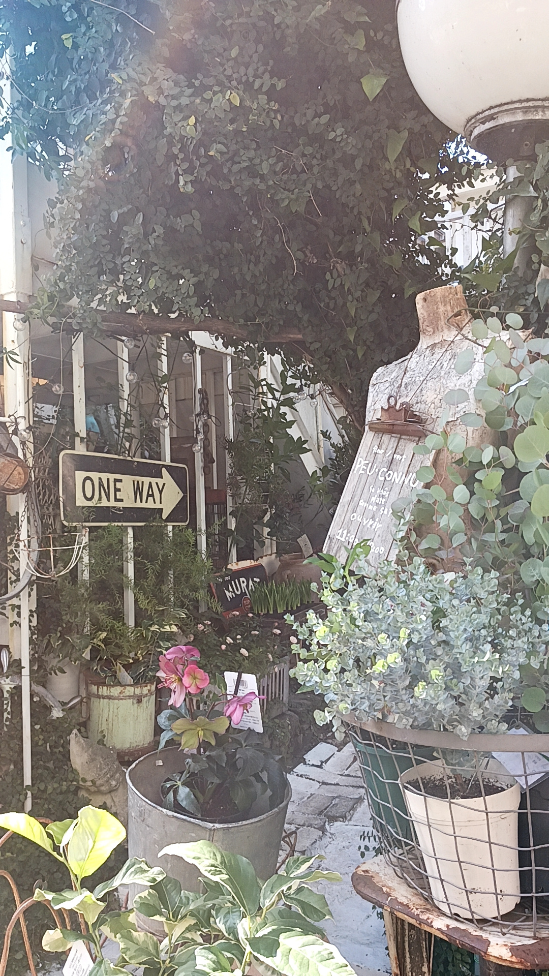 スムトコ不動産事務サポートOのブログ『映画　⑱～大好きなお花屋さんへ』の画像