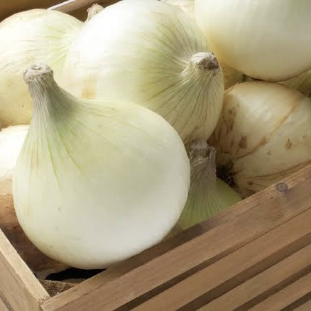 恒例の♪の画像