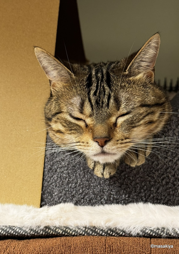 エアコンのお掃除の画像