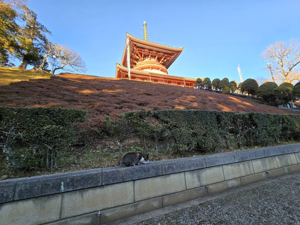 成田山の画像