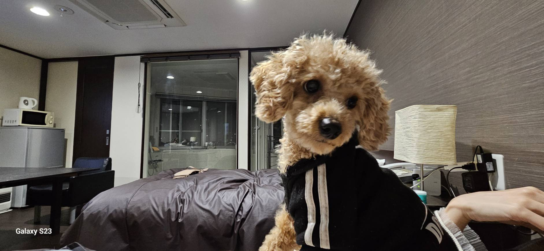 箱根旅行 パート2の画像