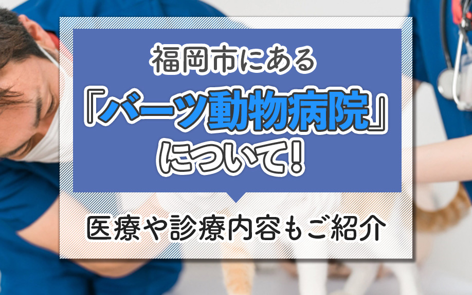 福岡市にある「バーツ動物病院」について！が医療や診療内容もご紹介
