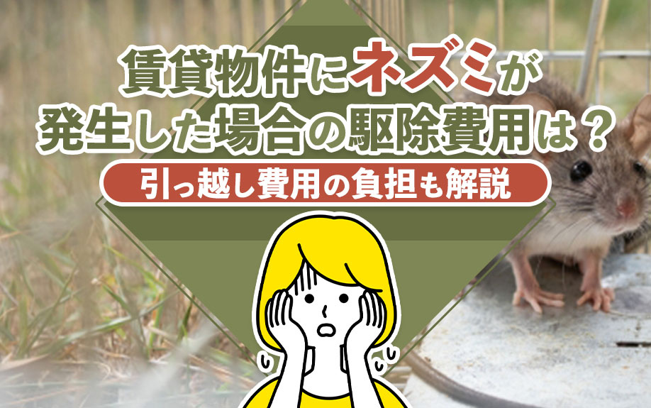 賃貸物件にネズミが発生した場合の駆除費用は？引っ越し費用の負担も解説