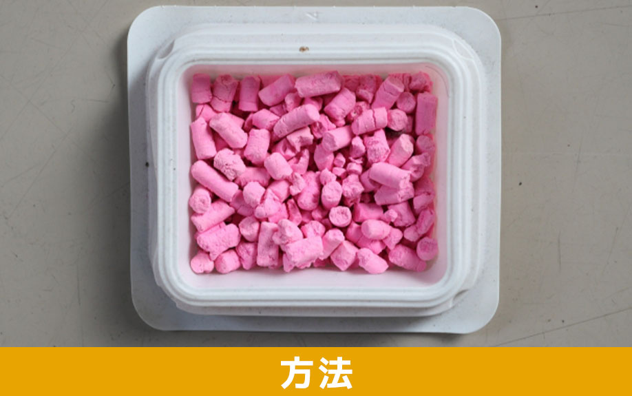 賃貸物件で発生したネズミの駆除方法とは