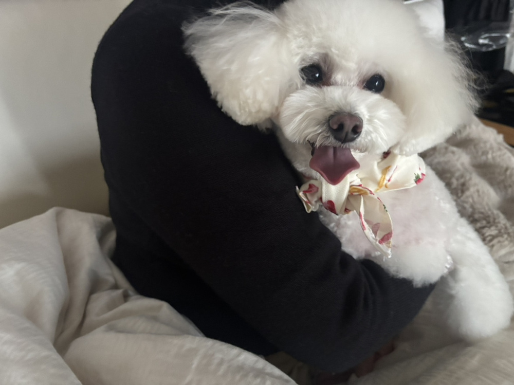 ファーストホーム　犬部の画像