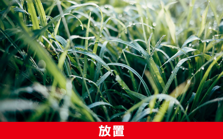 空き家の種類である「その他の住宅」を放置するリスク