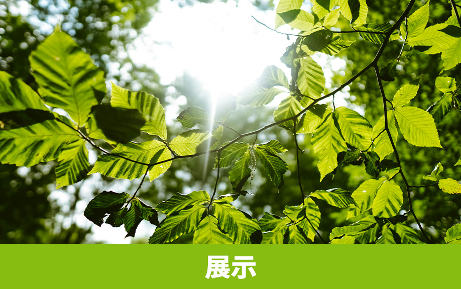 軽井沢町にある「セゾン現代美術館」の展示