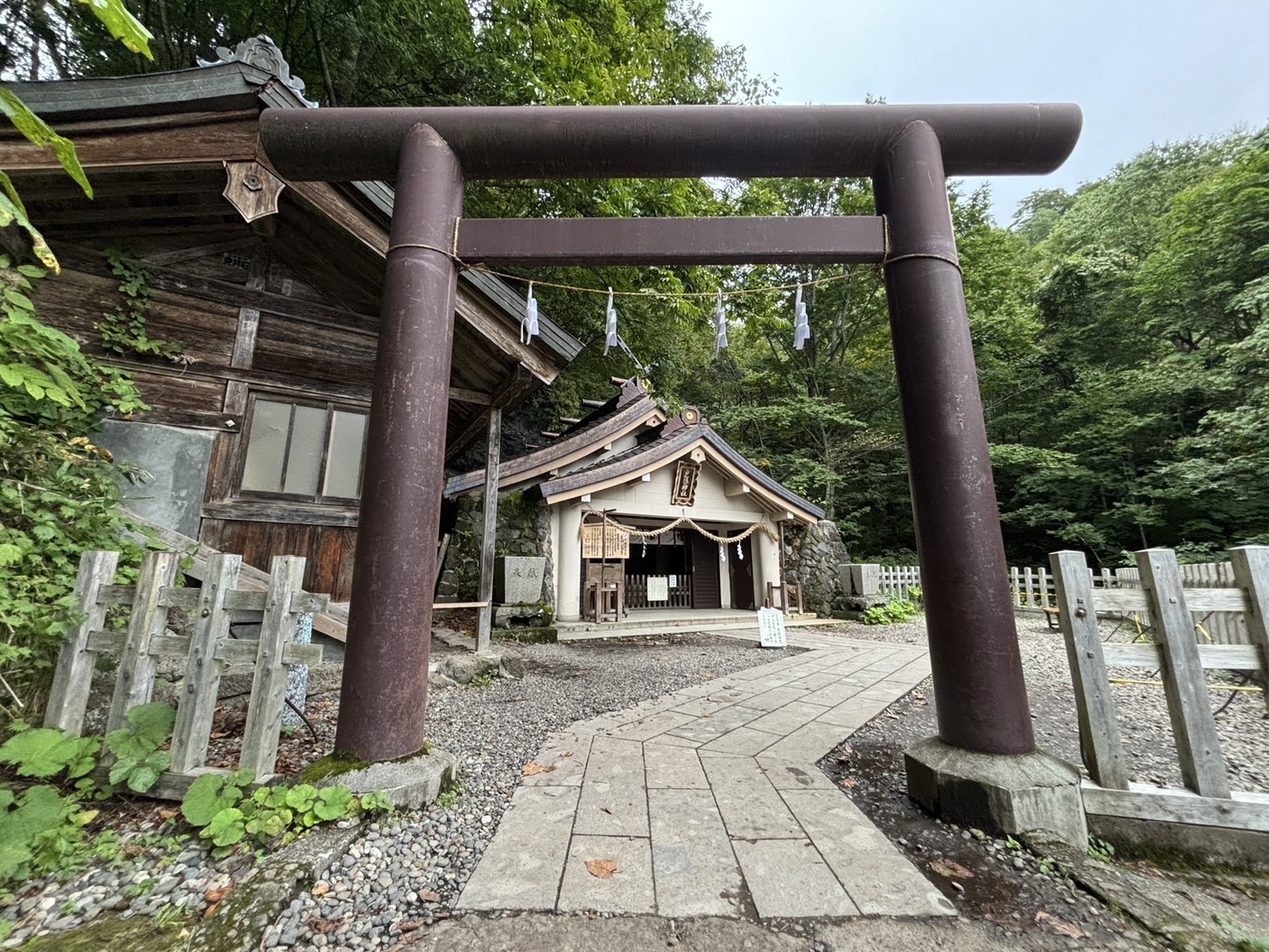 塚越です！よろしくお願いいたします。の画像