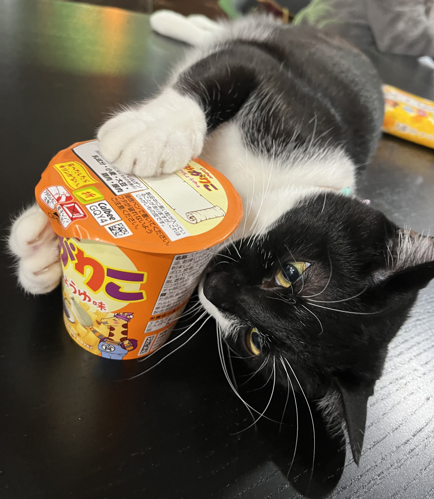 不動産の購入に必要な予算はいくら？年収倍率や返済比率について解説！の画像