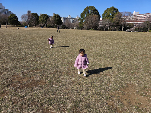 風が強い日、それでも公園への画像
