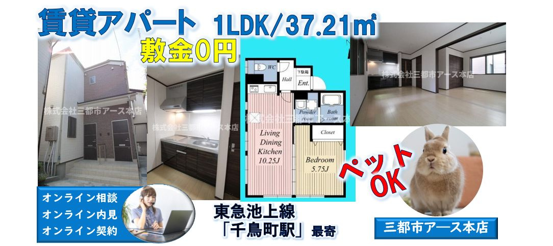 【タウンコート千鳥】