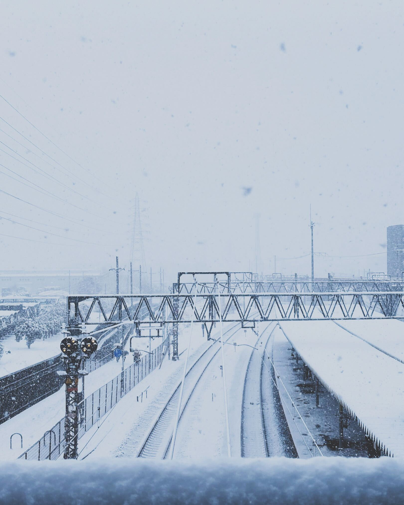 雪の京都の画像
