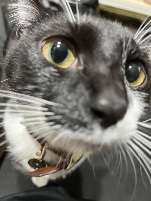 不動産相続でトラブル発生のリスクを知ろう！未然防止策を解説の画像