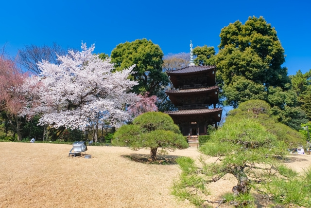文京区の女性向け賃貸ガイド｜安全で快適な住まい選びのポイントの画像