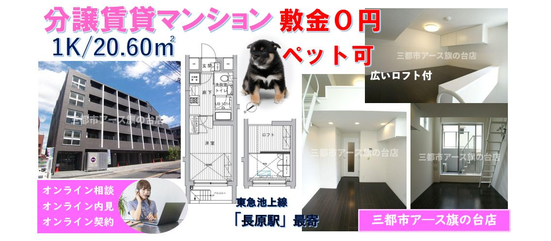 【ブライズ上池台】