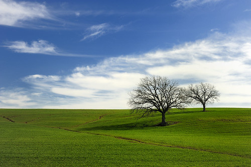粕屋町で理想の中古物件を見つける方法！購入ポイントをご紹介の画像