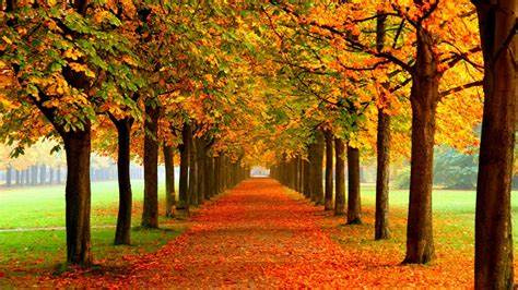 サンライフ小倉南は魅力的な選択肢？中古マンション購入のポイントをご紹介の画像