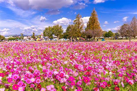 小倉北区で理想の売地は見つかる？不動産購入のポイントを解説の画像