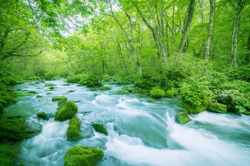 北九州市小倉南区西貫1丁目で売地発見！理想の土地購入を解説の画像