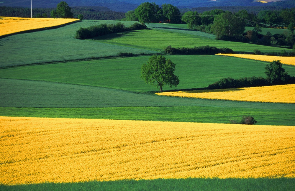 福岡の人気エリアはどこ？住みやすい福岡を解説の画像