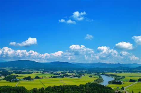 不動産購入か賃貸どっちが得？選択基準をご紹介の画像