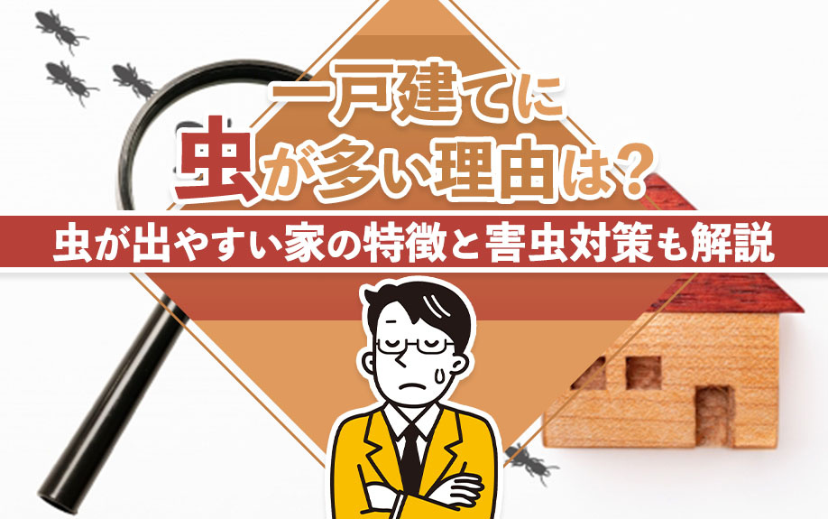 一戸建てに虫が多い理由は？虫が出やすい家の特徴と害虫対策も解説