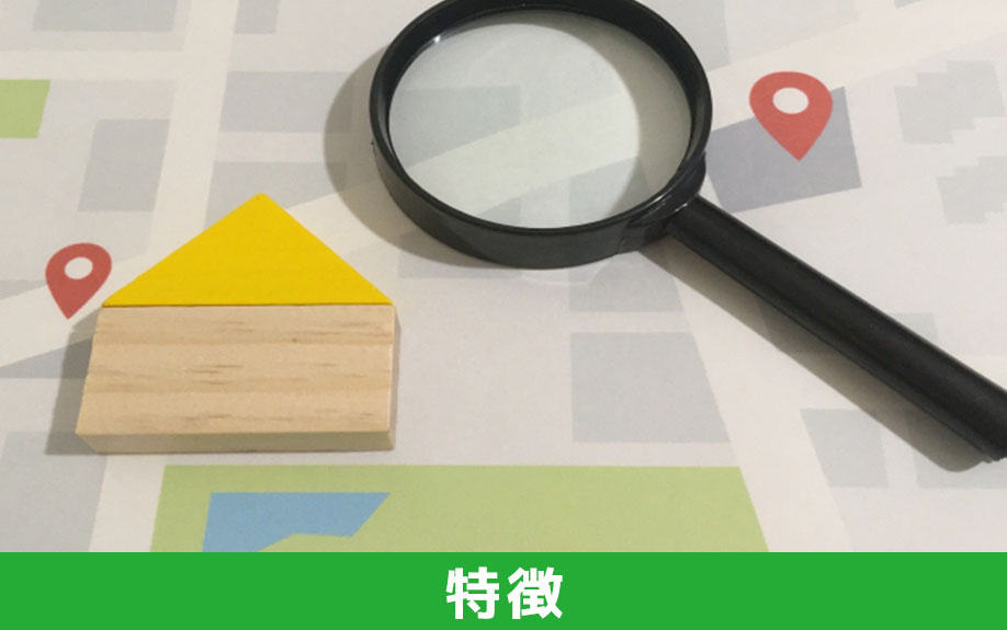 虫が多い一戸建ての特徴
