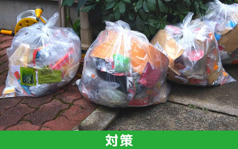 一戸建てでできる害虫対策