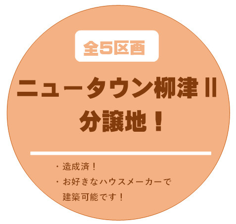 ニュータウン柳津Ⅱ分譲地　折込チラシ入ります！の画像