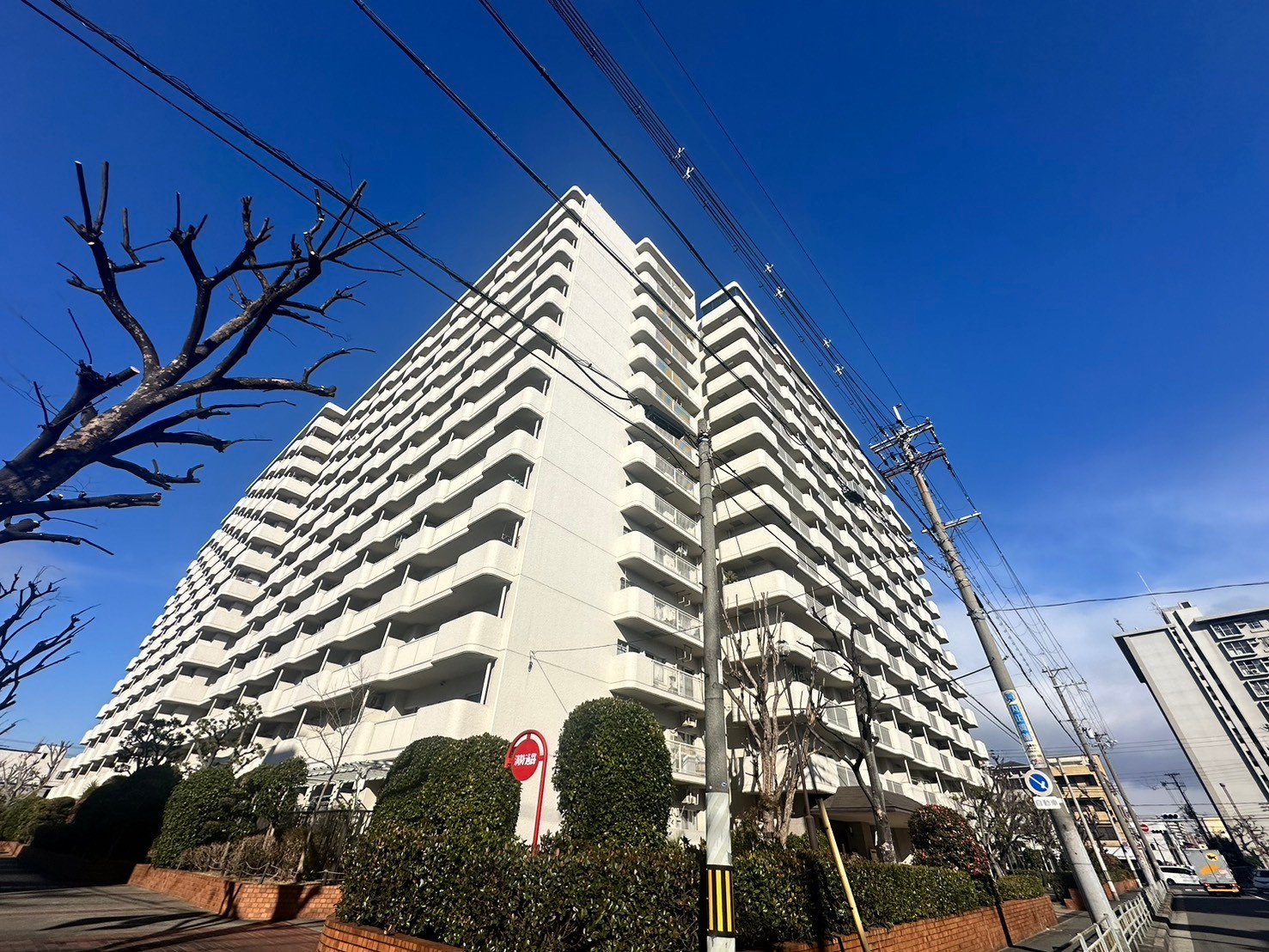 エルグリーンたつみ　リノベマンション！の画像