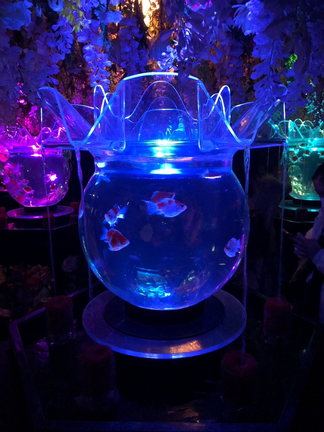 芸術鑑賞の画像