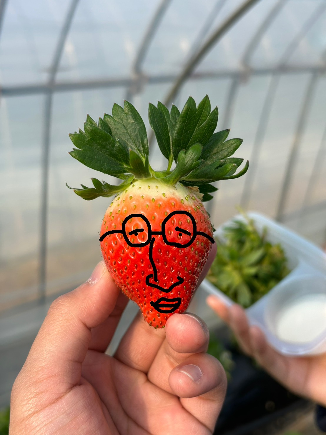 変ないちご狩りの画像