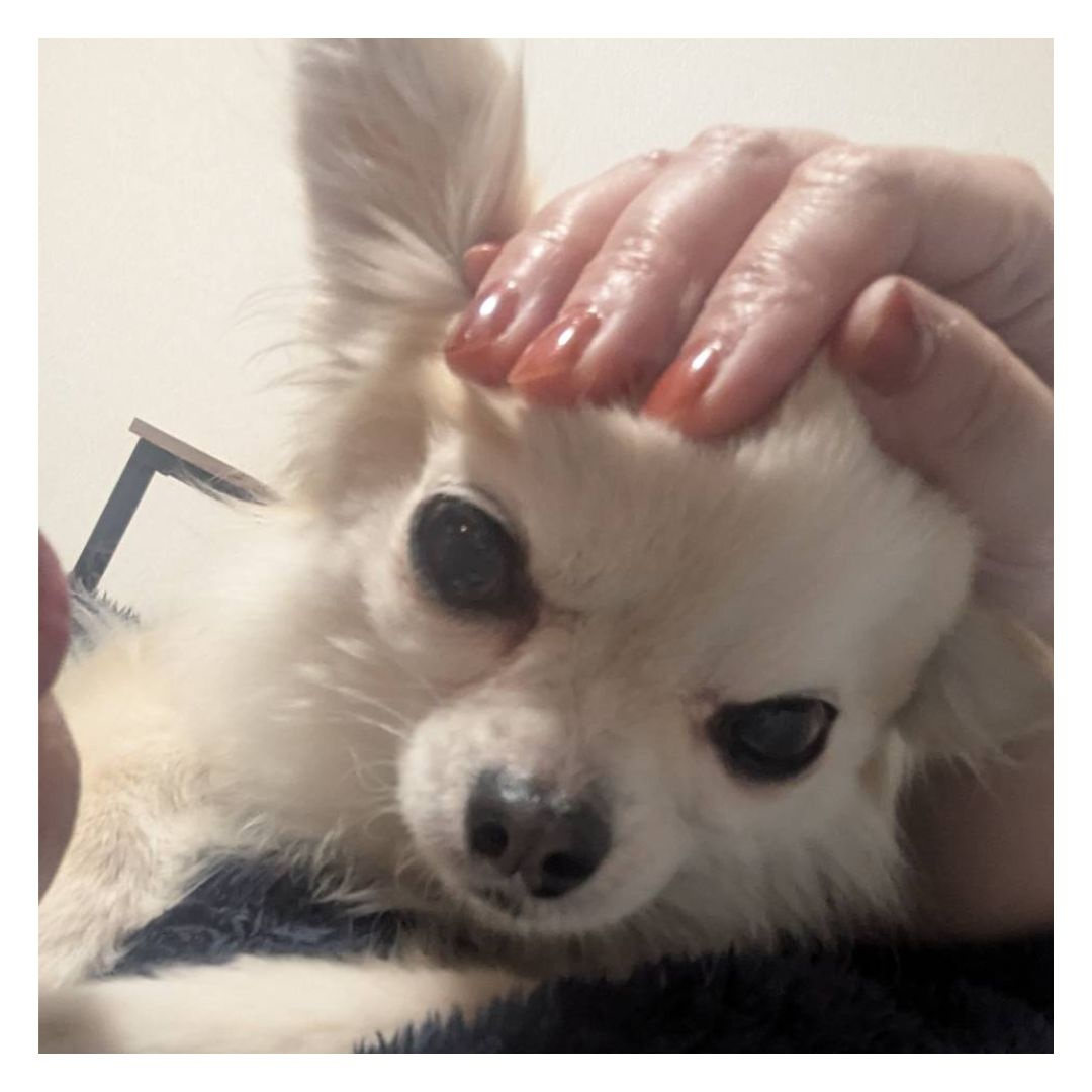 スムトコ不動産事務サポートSのブログ　親の終活～子どもの立場から～の画像