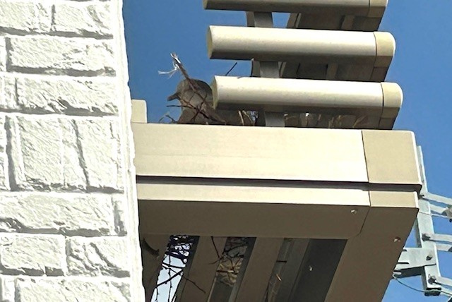 【あま市不動産売却】不法占有の画像