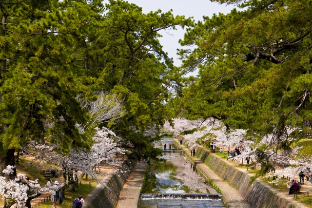 西宮市の教育環境はどんな特徴がある？教育環境の魅力をご紹介の画像