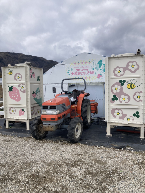 京都市西京区のいちごの画像