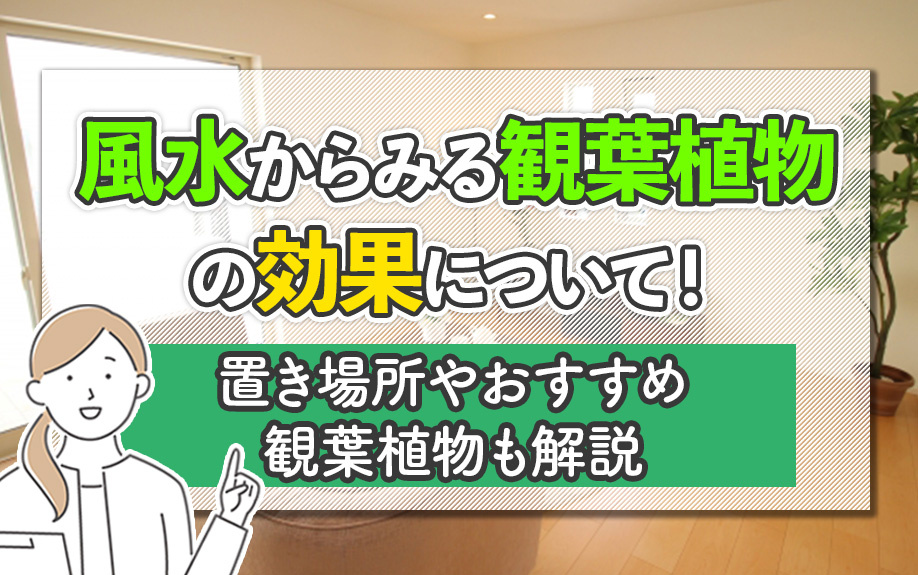 風水からみる観葉植物の効果について！置き場所やおすすめ観葉植物も解説の画像
