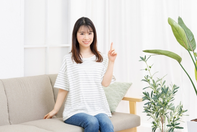 風水でとくにおすすめの観葉植物