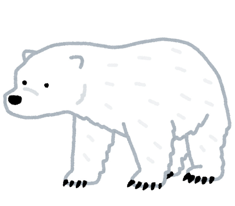 国際ホッキョクグマの日の画像